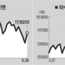 (주)데이콤