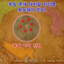 공성시장 이미지
