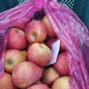 백동농장 이미지