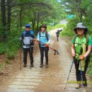 울산 울주군 - 밀양시소재 가지산(加智山) 산행 스케치 이미지