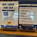 아곡 | 칠곡 왜관 애견카페 컴페니언ㅣ실내수영장과 천연잔디 운동장이 있는 대형 애카 ㅣ주말 방문후기