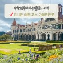 뉴질랜드 남섬 더니든 여행 가볼만한곳 기차역 가파른 언덕 볼드윈 스트릿 세인트폴대성당 후기