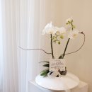 동고한의원 이미지