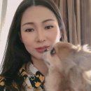 해피조이 이미지