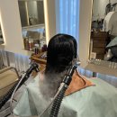 과천 미용실 데이지엘 헤어 아베다 컨셉 클리닉 후기
