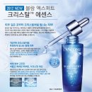 다크블랑 이미지