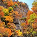 전설처럼 붉게 타오르는 주왕산(周王山), 주산지, 의성 고운사 이미지