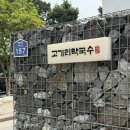 현대용인셀프점 | 경기/용인 원조 들기름막국수 수육 고기리막국수 주말 웨이팅 솔직후기