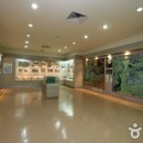 강원대학교박물관 이미지