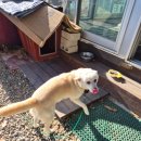 홍동면 상반월마을회관 이미지