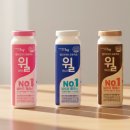 윌마트 | 헬리코박터 프로젝트 윌 5개 오리지널, 저지방, 당밸런스 차이점