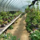 왕성농장 이미지