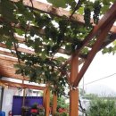 펜션갈까요 이미지