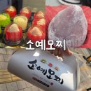 소예야 | 수원 과일모찌 맛집 권선동 무인 디저트 소예모찌 후기