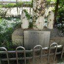 신흥초교 이미지