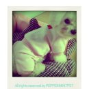 예쁜강아지 이미지