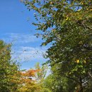 미추홀공원(다례원 내) 이미지