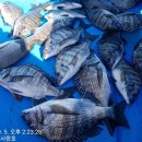 서정리경로당 이미지