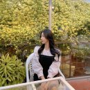 메디팜정약국 | [대구카페] 건들바위역 4월~5월 목향장미 향 가득한 핫플 &lt;큐바이쿼트&gt;
