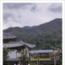 단양의아침 이미지