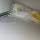 뜨란채 화장실 | 청주 개신뜨란채 아파트 이사 전 입주 청소 후기