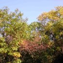 백수약수터 이미지