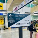 행우리 | 김포공항 국내선 이용후기(feat. 김해공항 행)