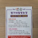 명가네힐링농장 아로니아싱싱초 아로니아싱싱초절임 / 아로니아 먹는 법 아로니아 레시피