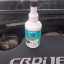 뉴아리랑카서비스 이미지