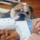 오드리치킨