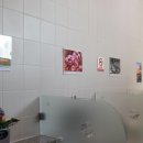 시의회 화장실 이미지