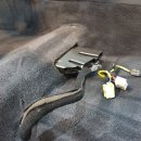 거성크리닝 이미지