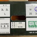 푸룻라이프