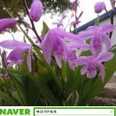 우란농장 이미지