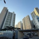 메이플부동산공인중개사사무소 네이버블로그