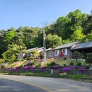 차리인동네 이미지