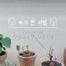 아크앤시엘 이미지