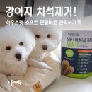 펫120 | 강아지 치석제거 껌 찾는다면? 하우펫 소프트 덴탈바!