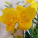 자연을 노래하다 이미지