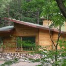 성주산휴양림 이미지