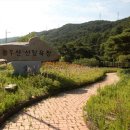 용두산산림욕장 Daum카페