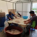 본토손가장 이미지