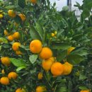 승환농장 이미지