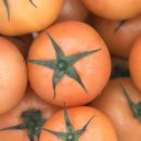 하니온 허브 이미지