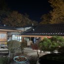 다금식당 이미지