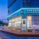 도래동물병원