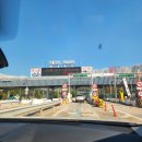 아그리나 D 이미지