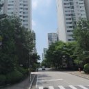 달빛이화약국 이미지