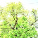 대흥 마을회관 이미지