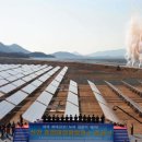 해바라기 태양광발전소 이미지